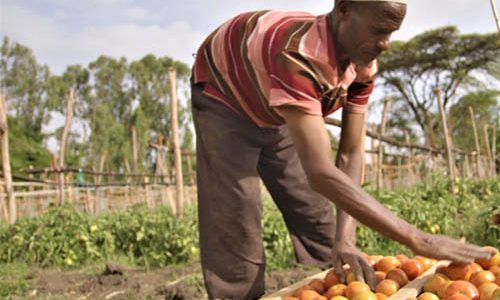 agribusinessman