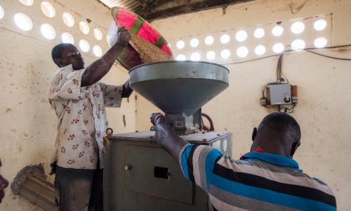 sierra leone 2016. africa solidarity trust fund boosts agribusin